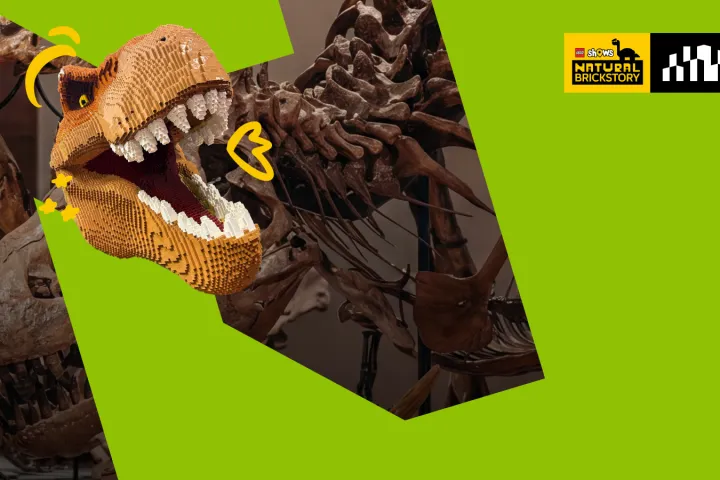LEGO meets deep time in Abu Dhabi