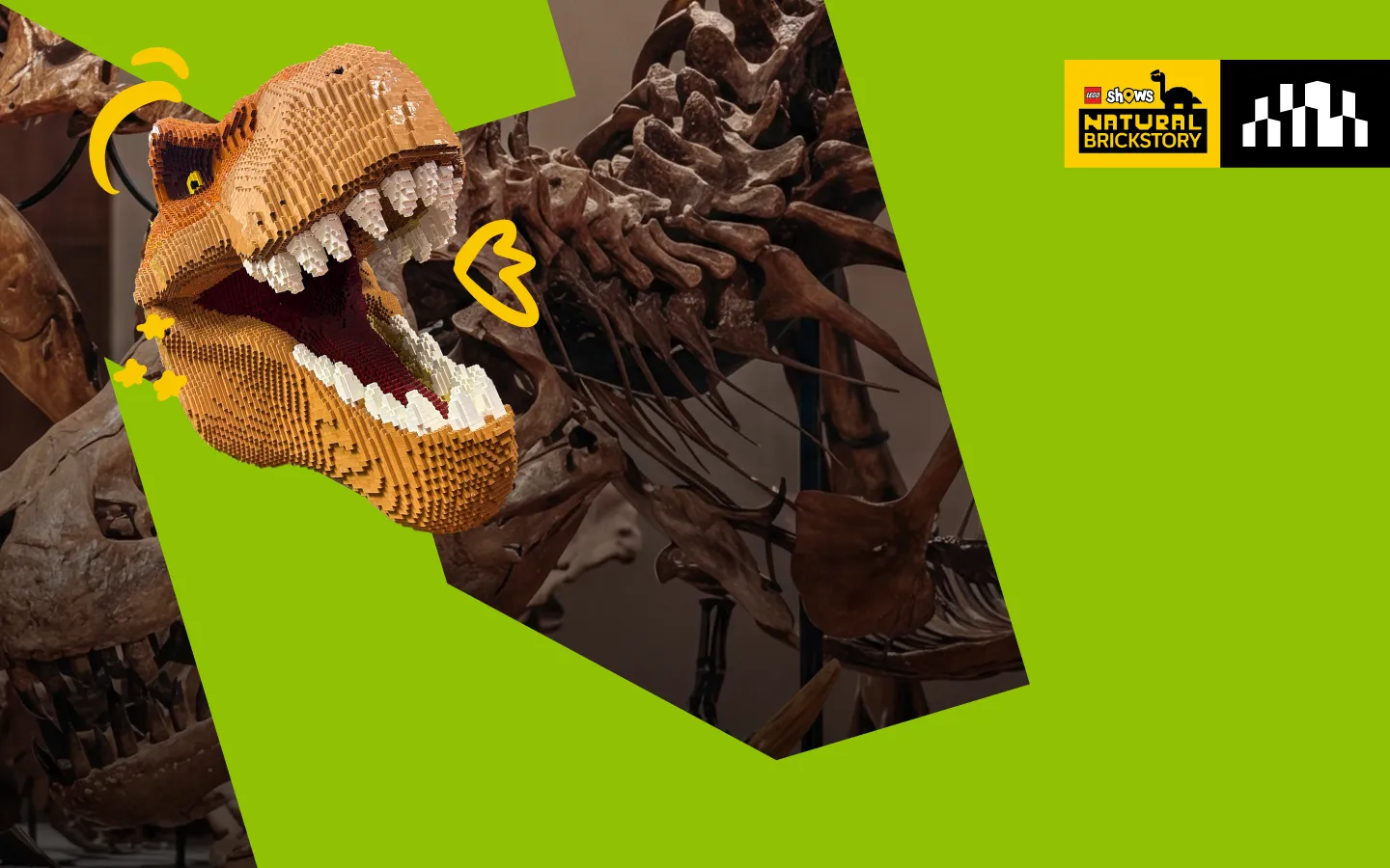 LEGO meets deep time in Abu Dhabi