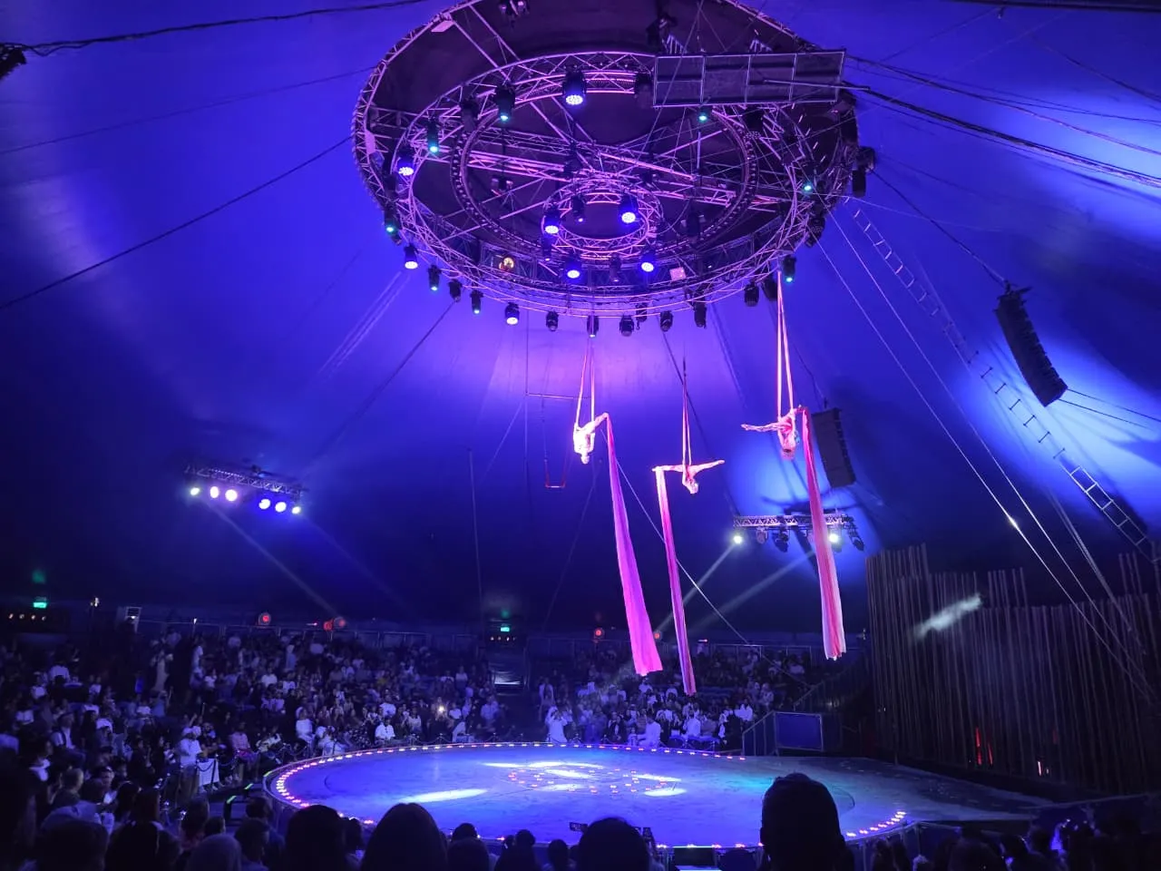 Aerial silks performers above the circular stage