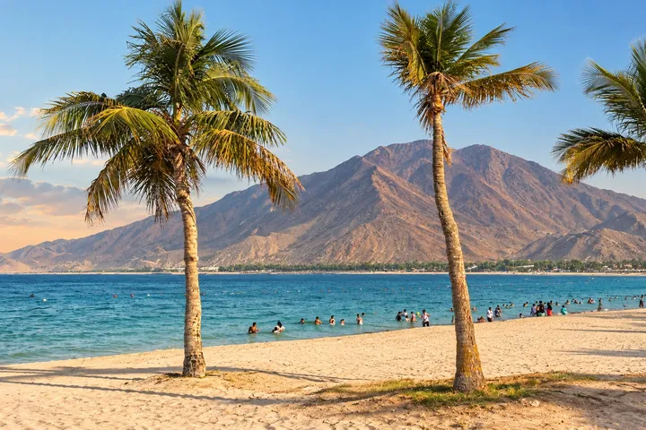Ras Al Khaimah beach framed by palm trees, with blue water and the Hajar Mountains rising behind it.